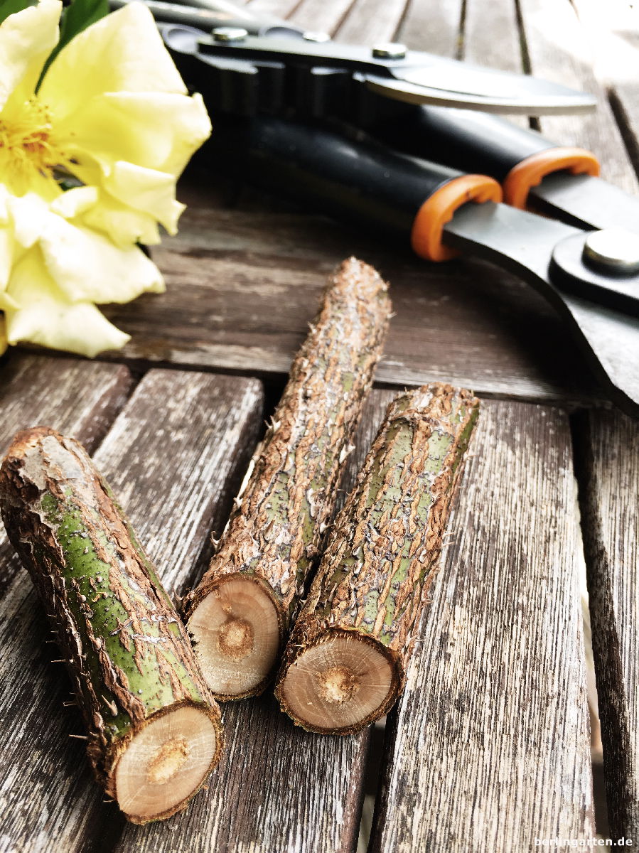 Glatte Schnitte mit der Fiskars L76