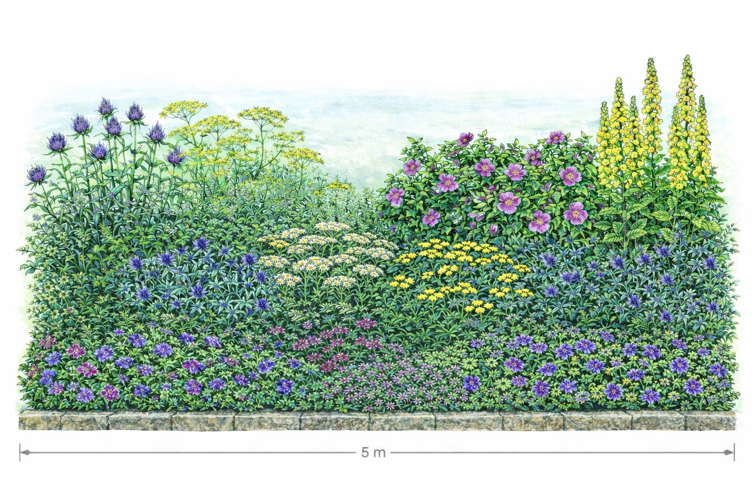Kleiner Naturgarten: Beet mit heimischen Pflanzen als Illustration für die Gartenplanung