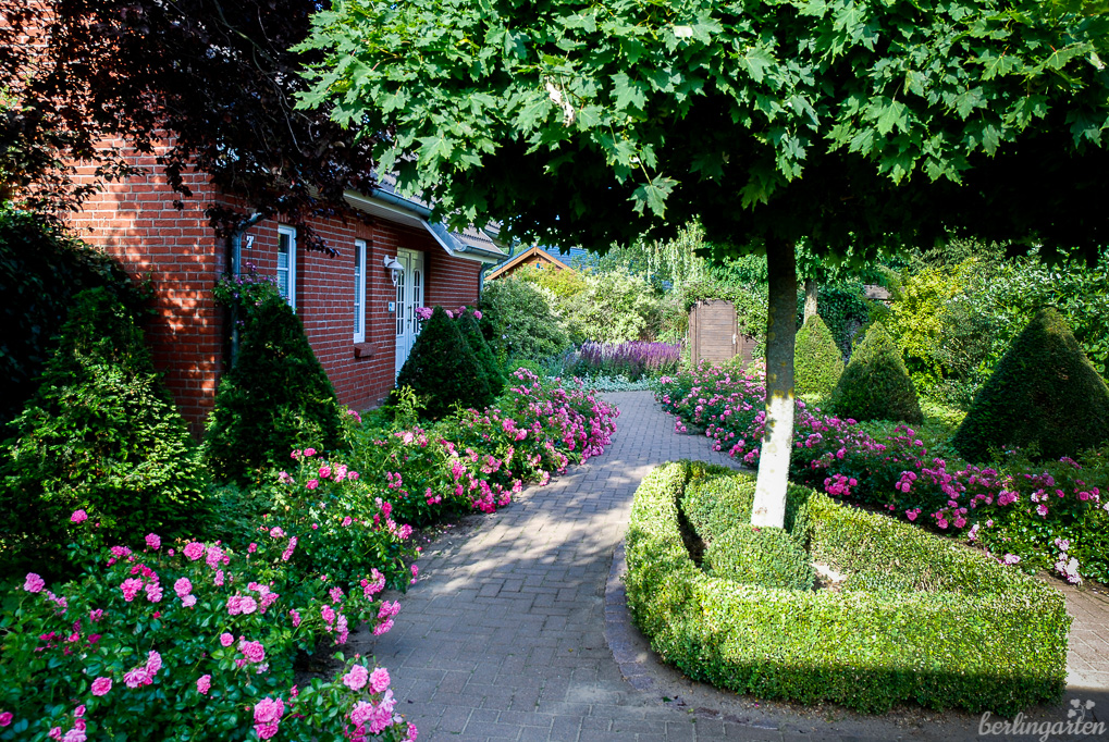 Der Eingangsbereich mit Rosen, Formschnitt, kugeligem Ahorn und der Pflasterung zeigt sofort an, um was für einen Gartenstil es sich bei Katrin handelt