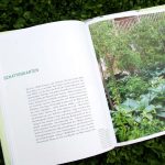 Der Schattengarten in grün-weiß