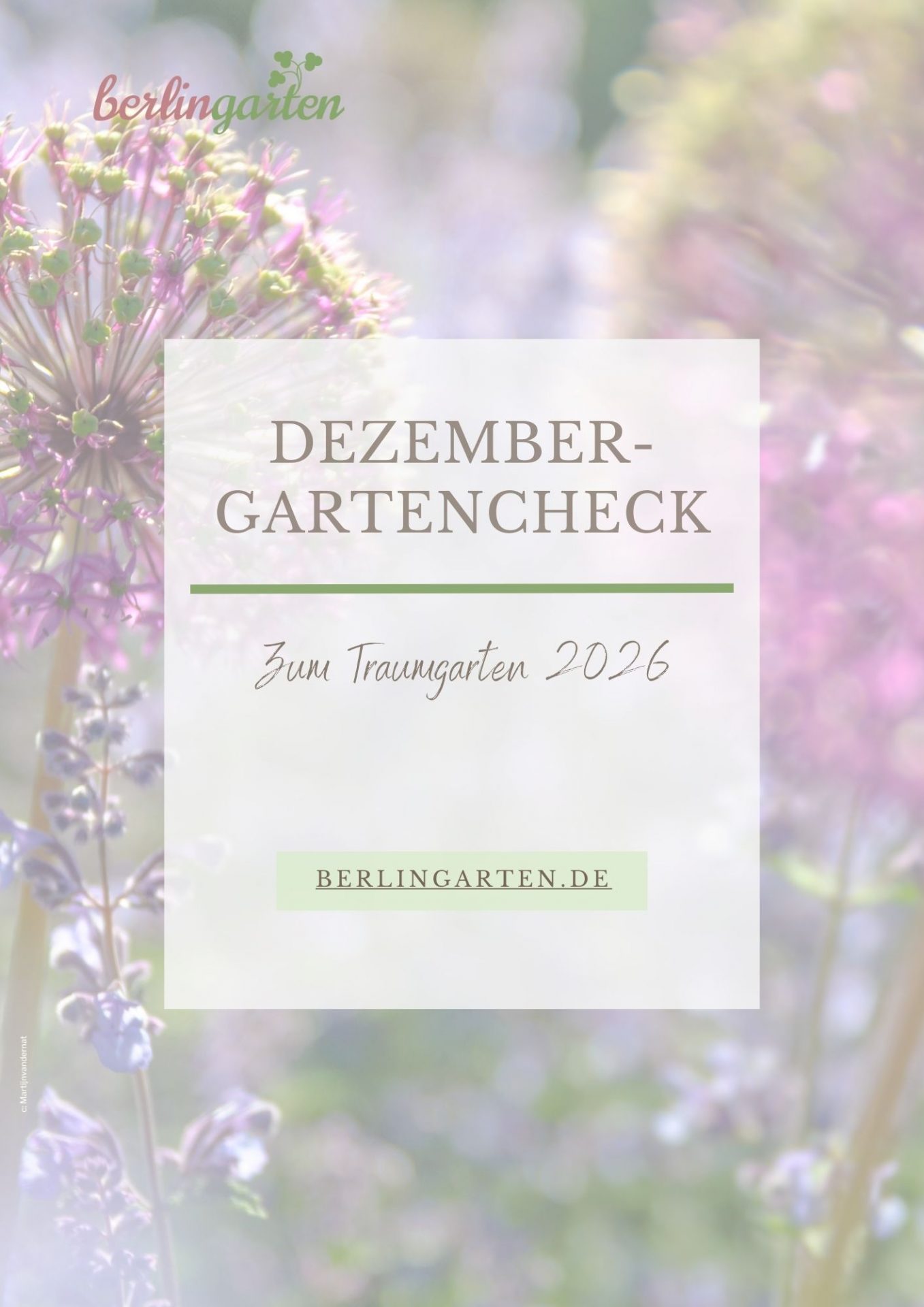 E-Book Dezember-Gartencheck von berlingarten zur frühzeitigen Gartenplanung