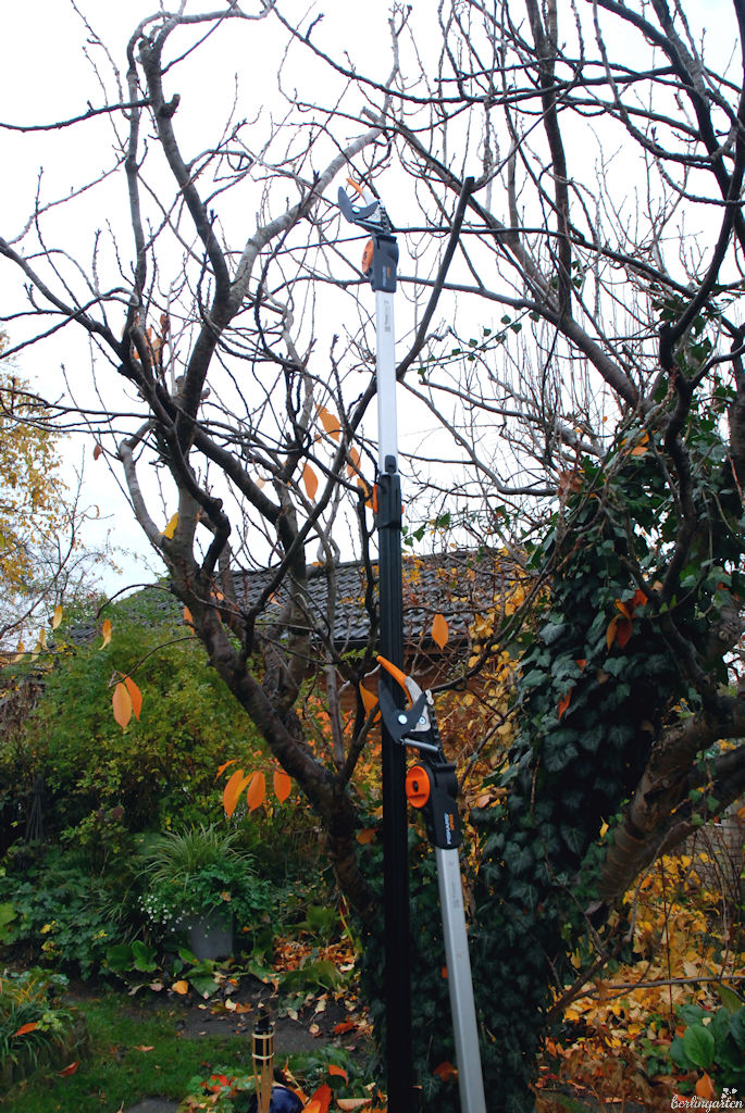 Mit dem Duo an Schneidgiraffen bin ich bestens ausgestattet