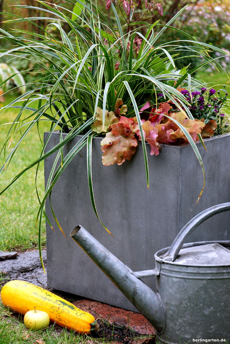 Pflanzkübel Bepflanzen Große Pflanzkübel Richtig Befüllen