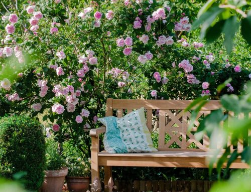 Was blühende Nachbarsgärten dir nicht verraten: der unsichtbare Plan dahinter