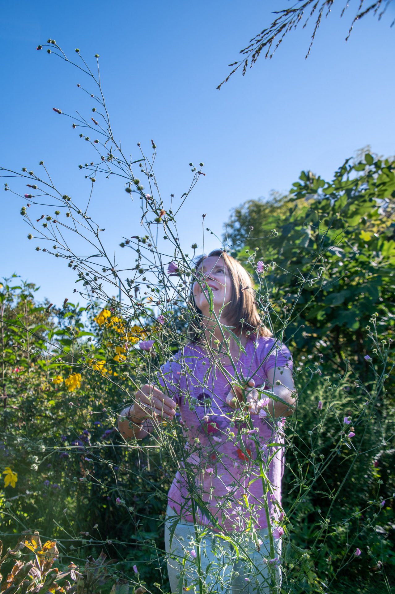 Xenia und ihre Lieblingsstaude im Garten