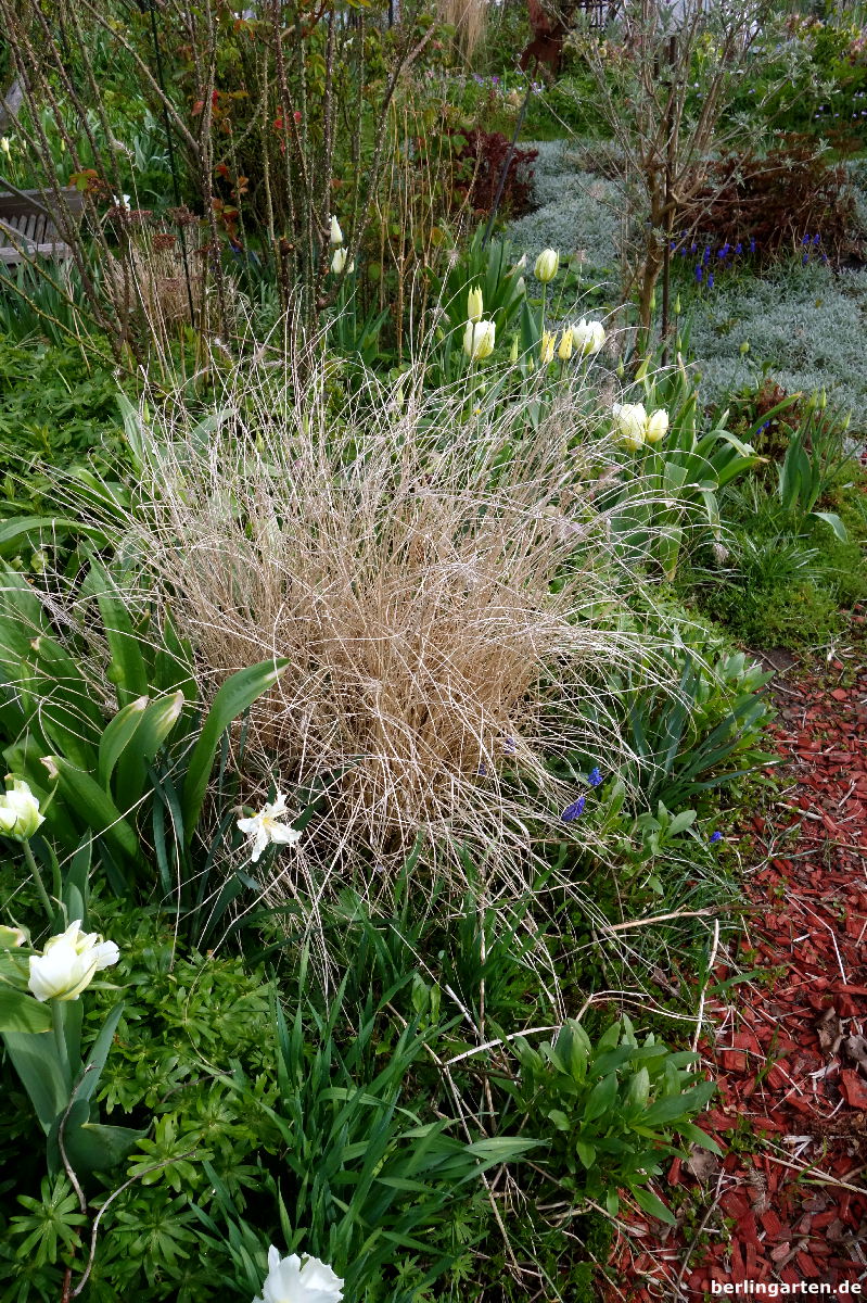 Hübsch aber alt, muss verjüngt werden