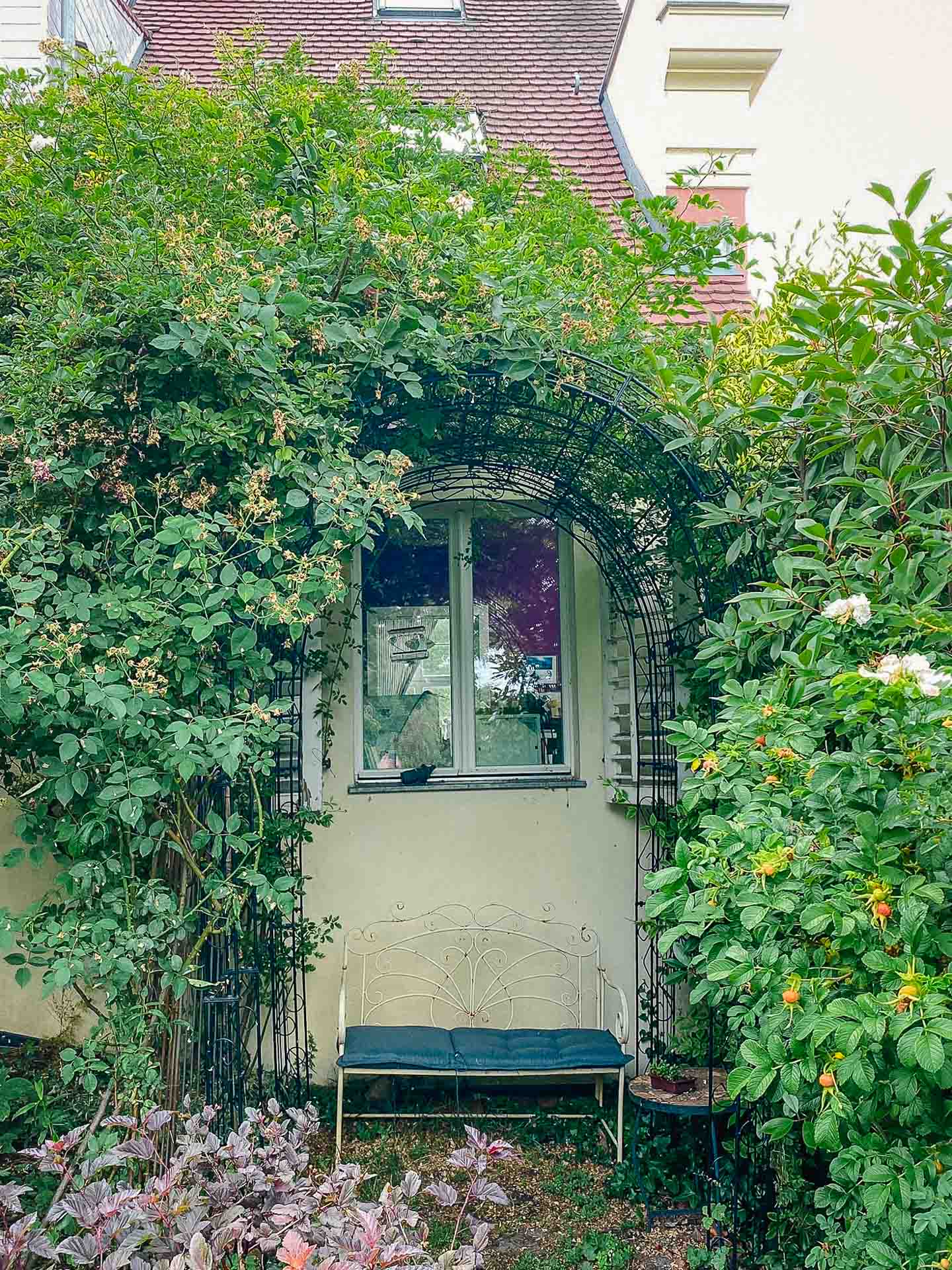 Romantisch: Rosenlaube mit Rosenbogen und Bank