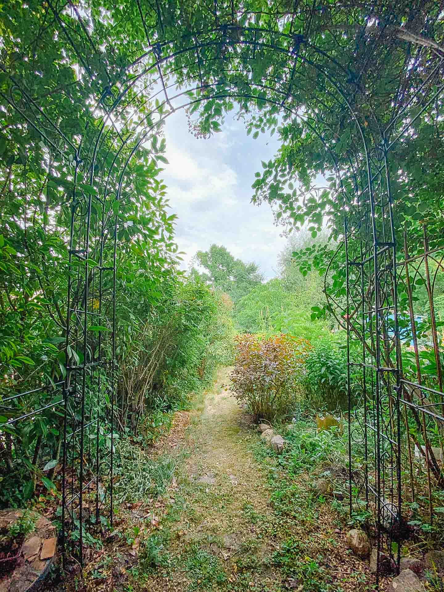 Blick aus der romantischen Rosenlaube mit Rosenbogen