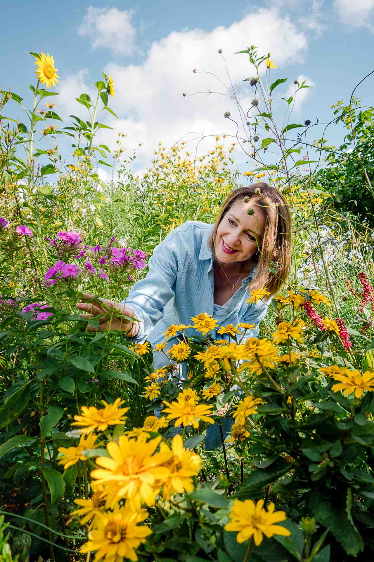 Klimaresilienter Garten: Auf die richtige Sorte kommt es an