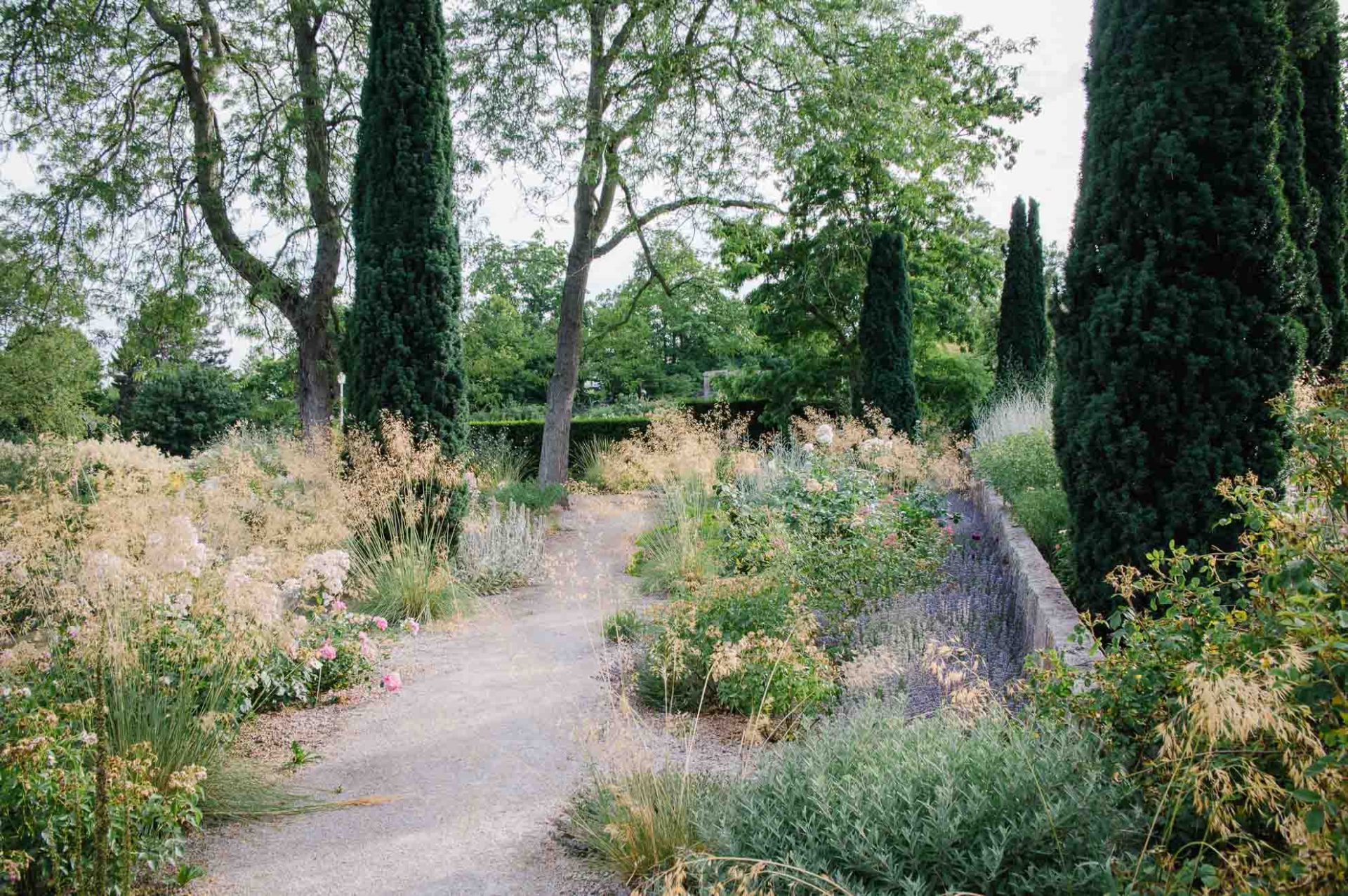 Mediterraner_Rosengarten (15 von 19) Gartengestaltung mit Rosen und Gräsern: Überblick über Rosengarten