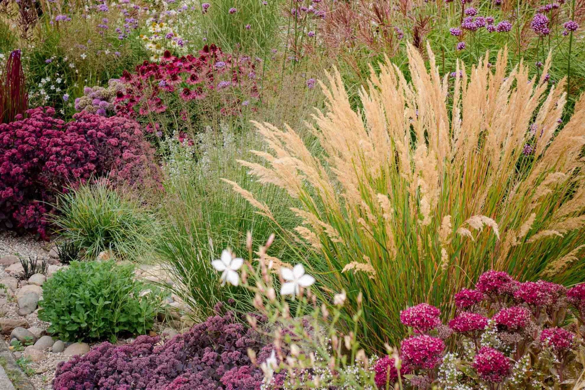 Garten modern bepflanzen mit Gräsern und Stauden