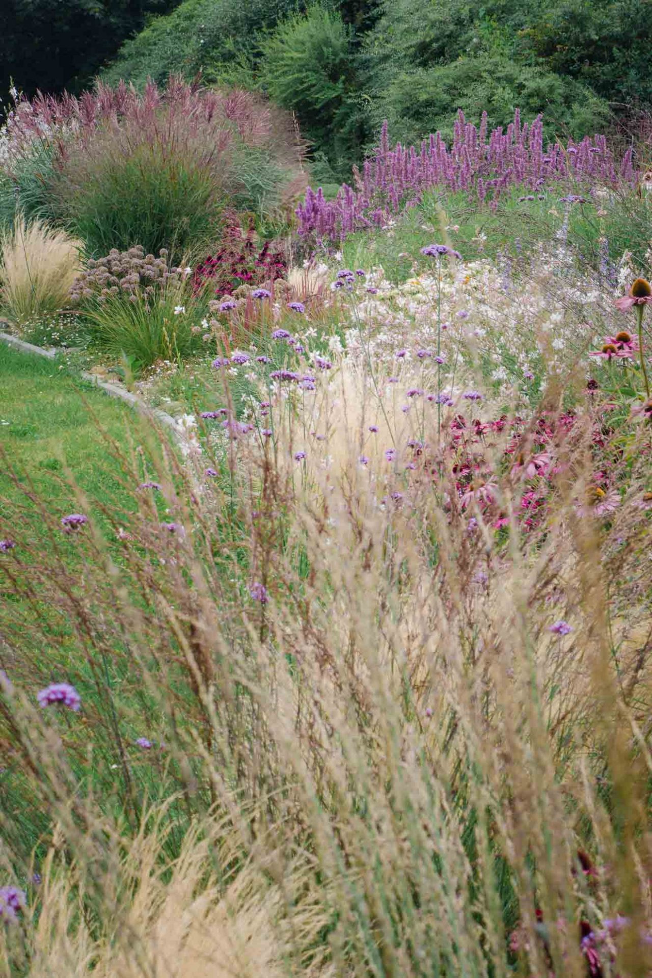 Entlang des Rasens befindet sich das modern bepflanzte Beet, das pflegeleicht ist und ohne gießen auskommt