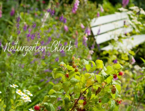 Naturgarten: Gartengestaltung naturnah und einfach