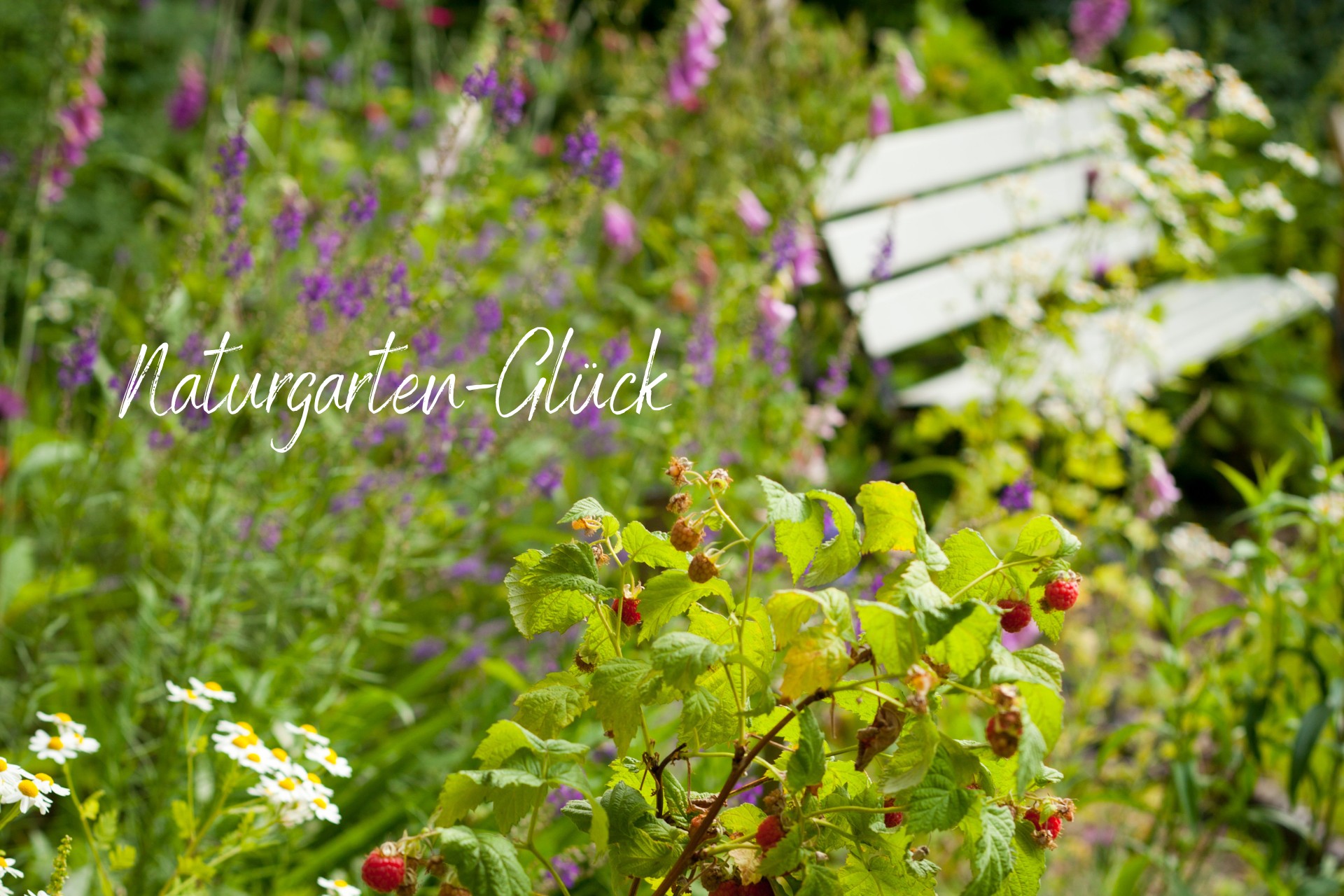 Glücklich im Naturgarten: Gartengestaltung naturnah und einfach