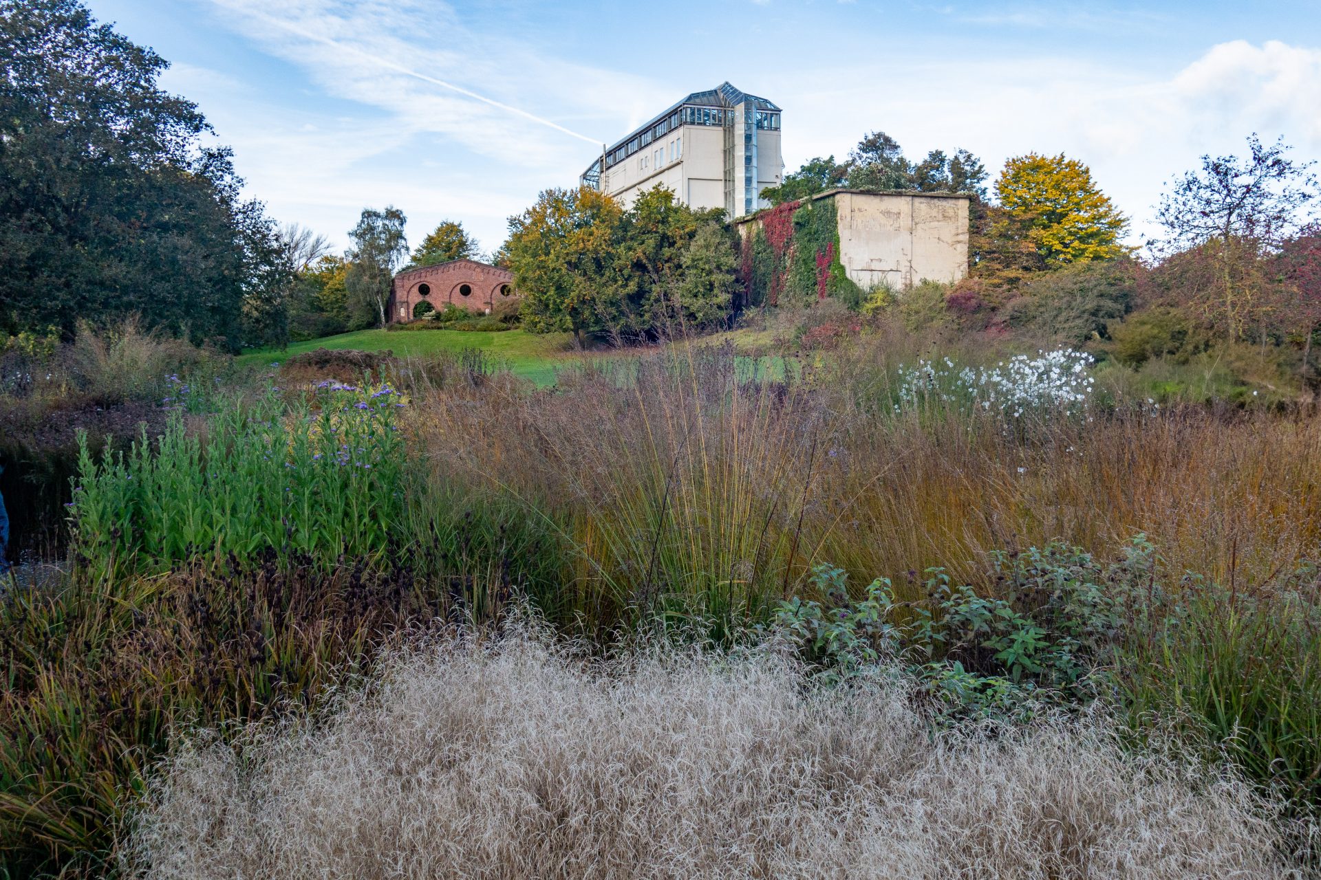 Herbstliches Staudenbeet im Maxipark Hamm mit Gräsern, Kerzenknöterichen und hohen Stauden von Piet Oudolf