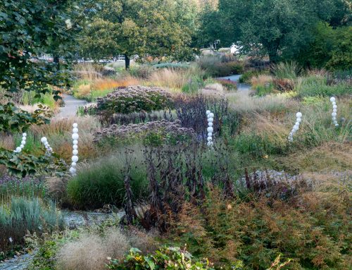 Herbstbeet gestalten wie bei Piet Oudolf: Rhythmus von Stauden und Gräsern