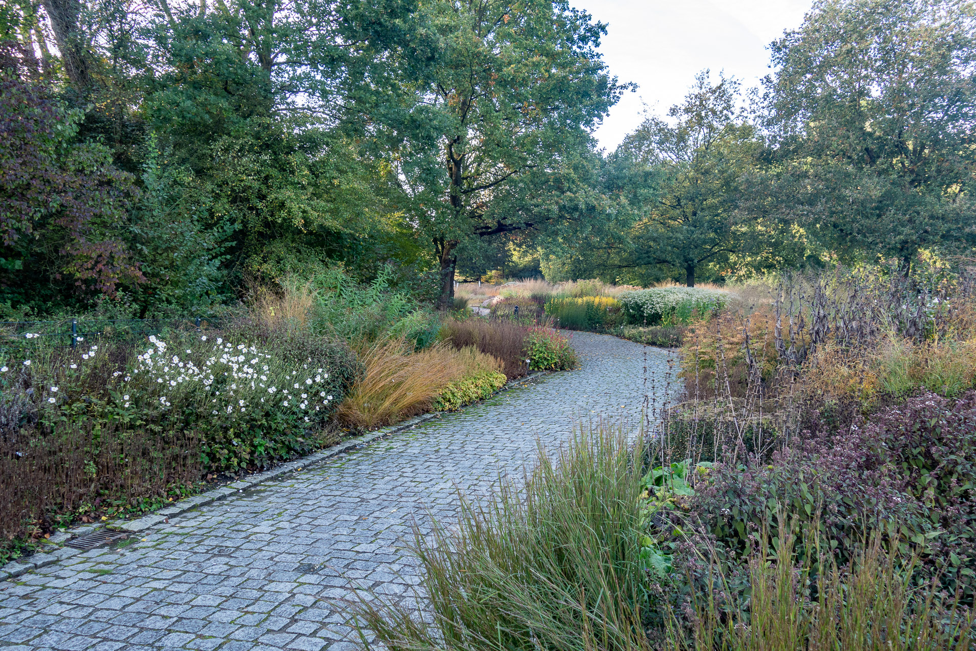 Wege schlängeln sich rhythmisch durch die Herbstbeete