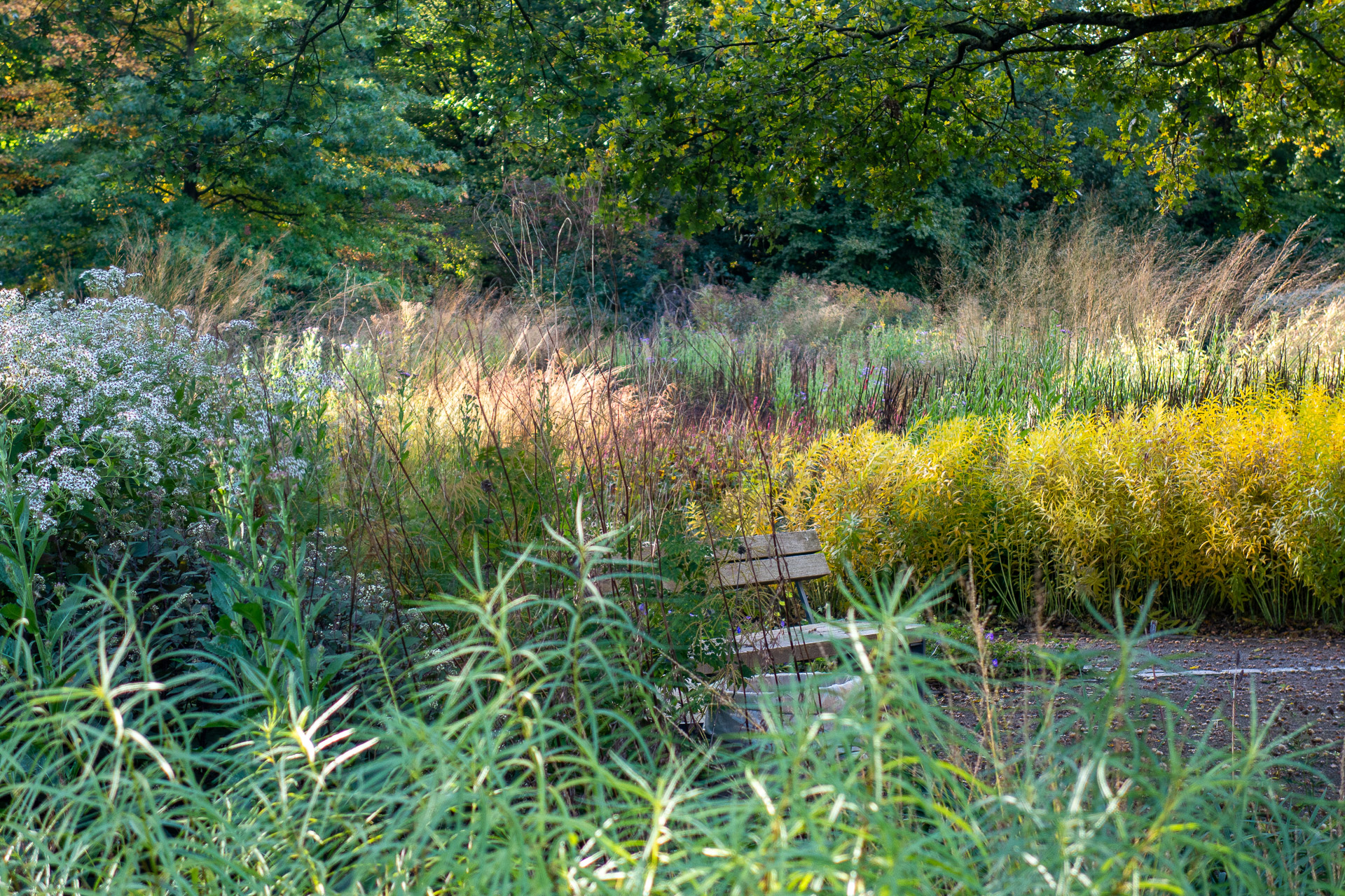 Herbstbeete gestalten mit Piet Oudolf als Vorbild