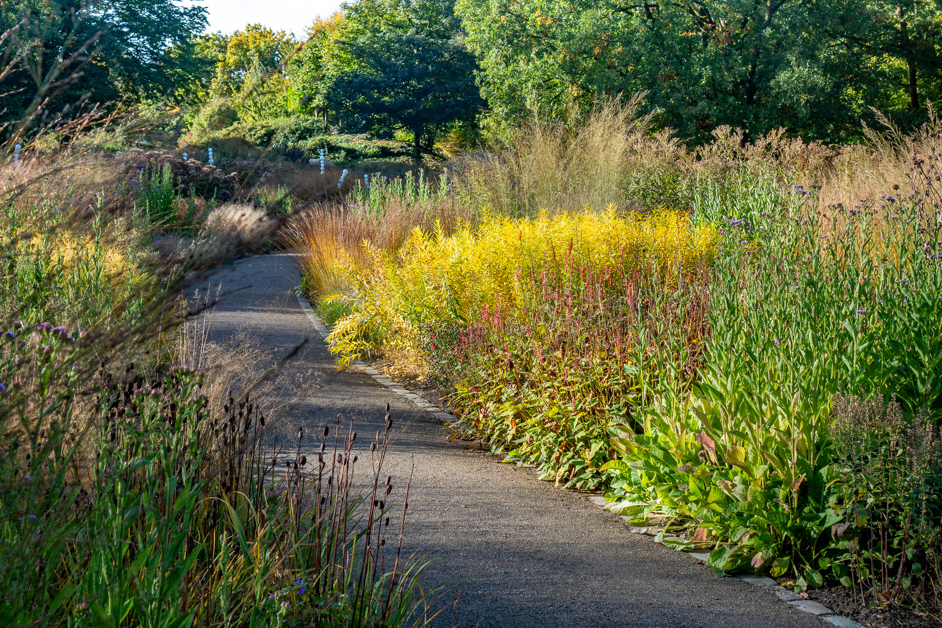 Piet Oudolf lässt Stauden und Gräser im Rhythmus durch die Herbstbeete ziehen