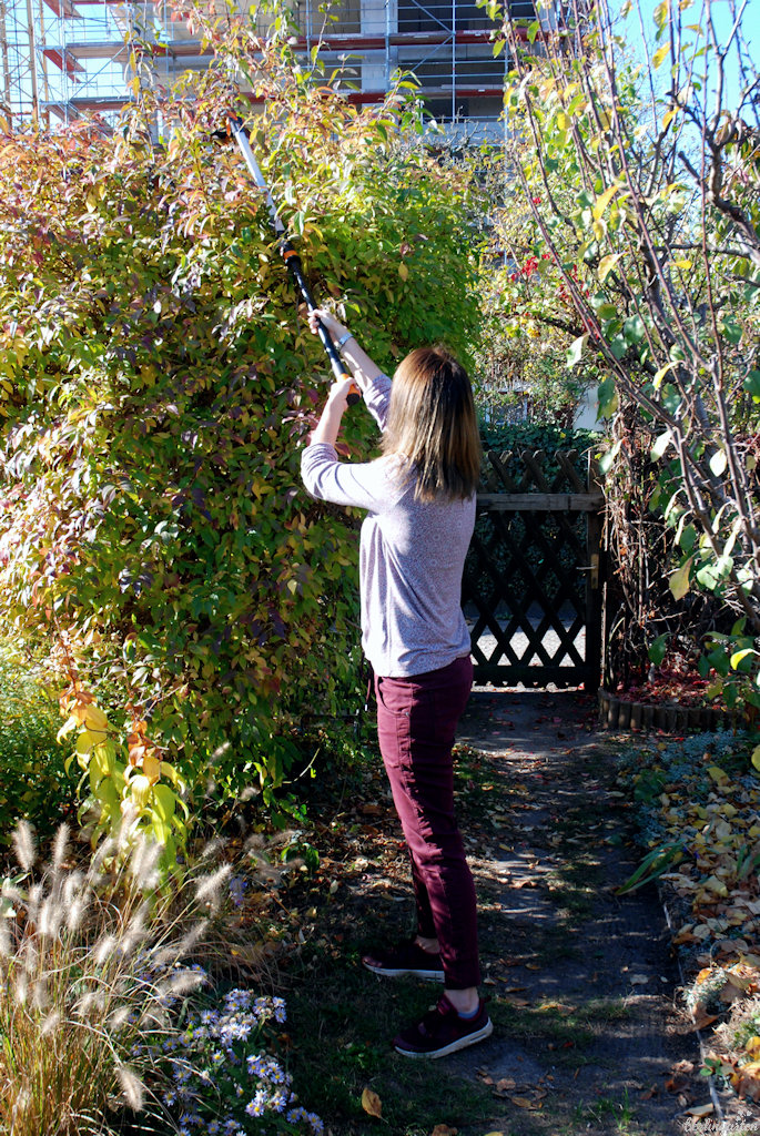 Schritt 1 des Schnitts mit der Schneidgiraffe