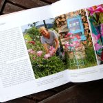 Tipps für Päonien als Schnittblumen