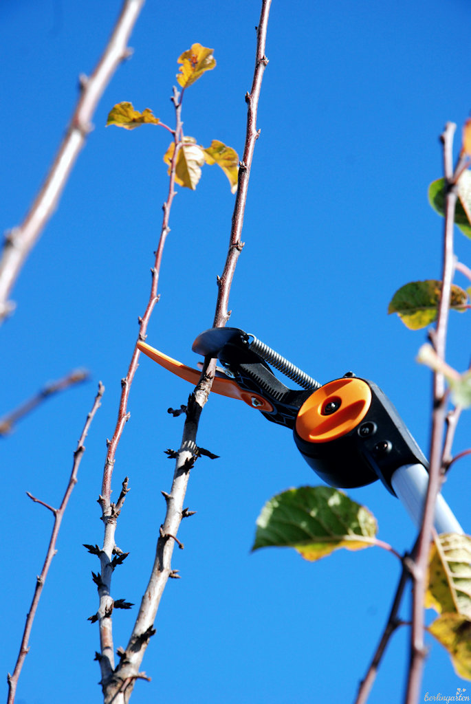 Verstellbarer Schneidkopf