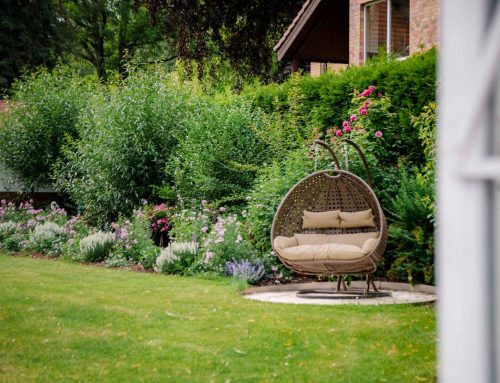 Gartenkurs Beetplanung: Vom Rasen zum romantischen Wellenbeet