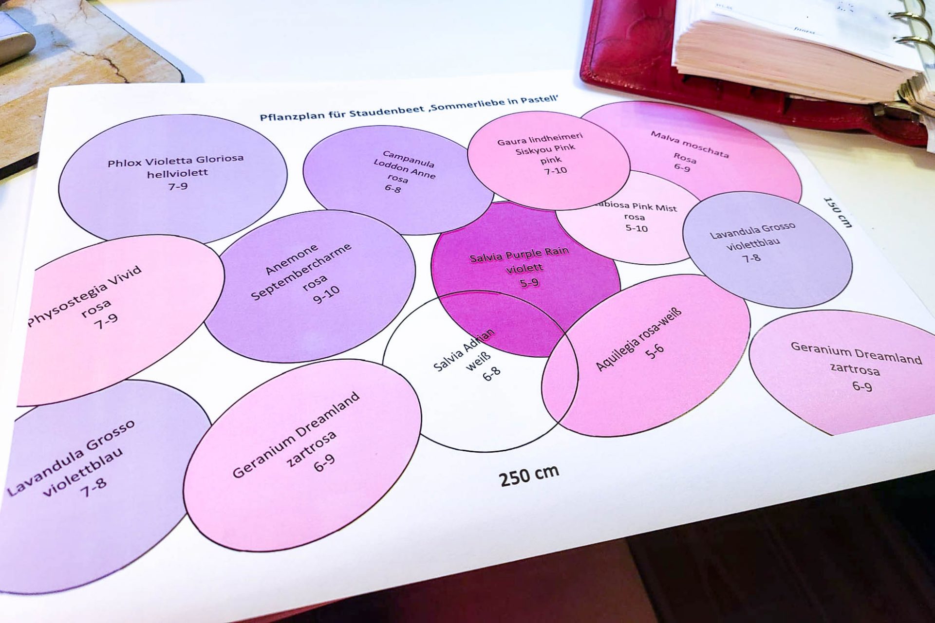 Wallis_Garten-27 Gartenkurs Beetplanung: der Beetplan entsteht