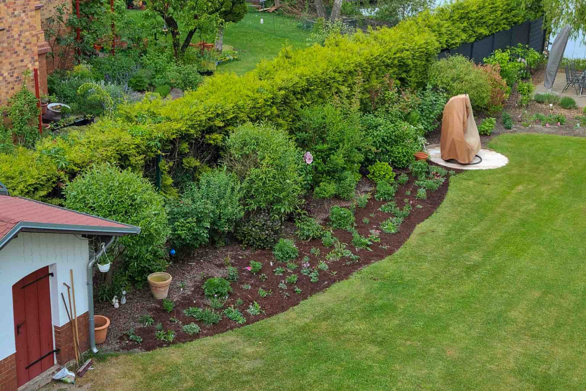 Wallis_Garten-29 Im Frühjahr nach Teilnahme am Gartenkurs BlütenGarten waren die Stauden bereits etabliert