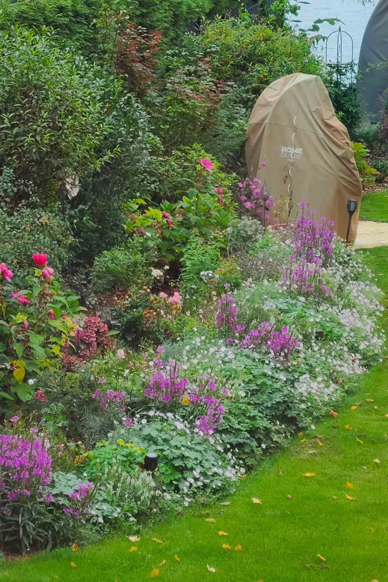 Wallis_Garten-32 Gartenkurs Beetplanung: Die Stauden sind gut angewachsen und groß geworden