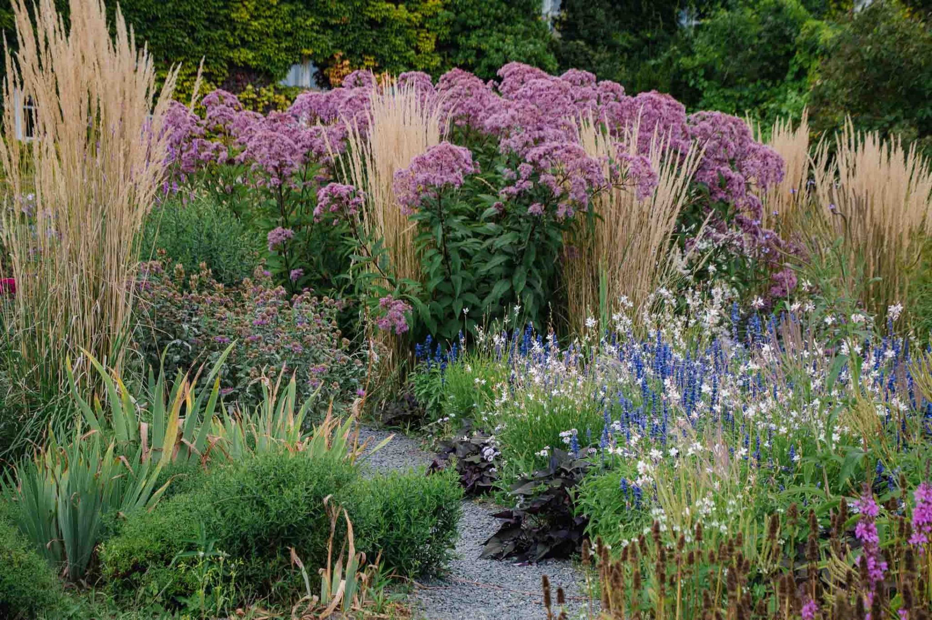 Wiederholung-2 Wiederholung mit dem Sandrohr Calamagrostis x acutiflora 'Karl Foerster' - Gartengestaltung perfekt