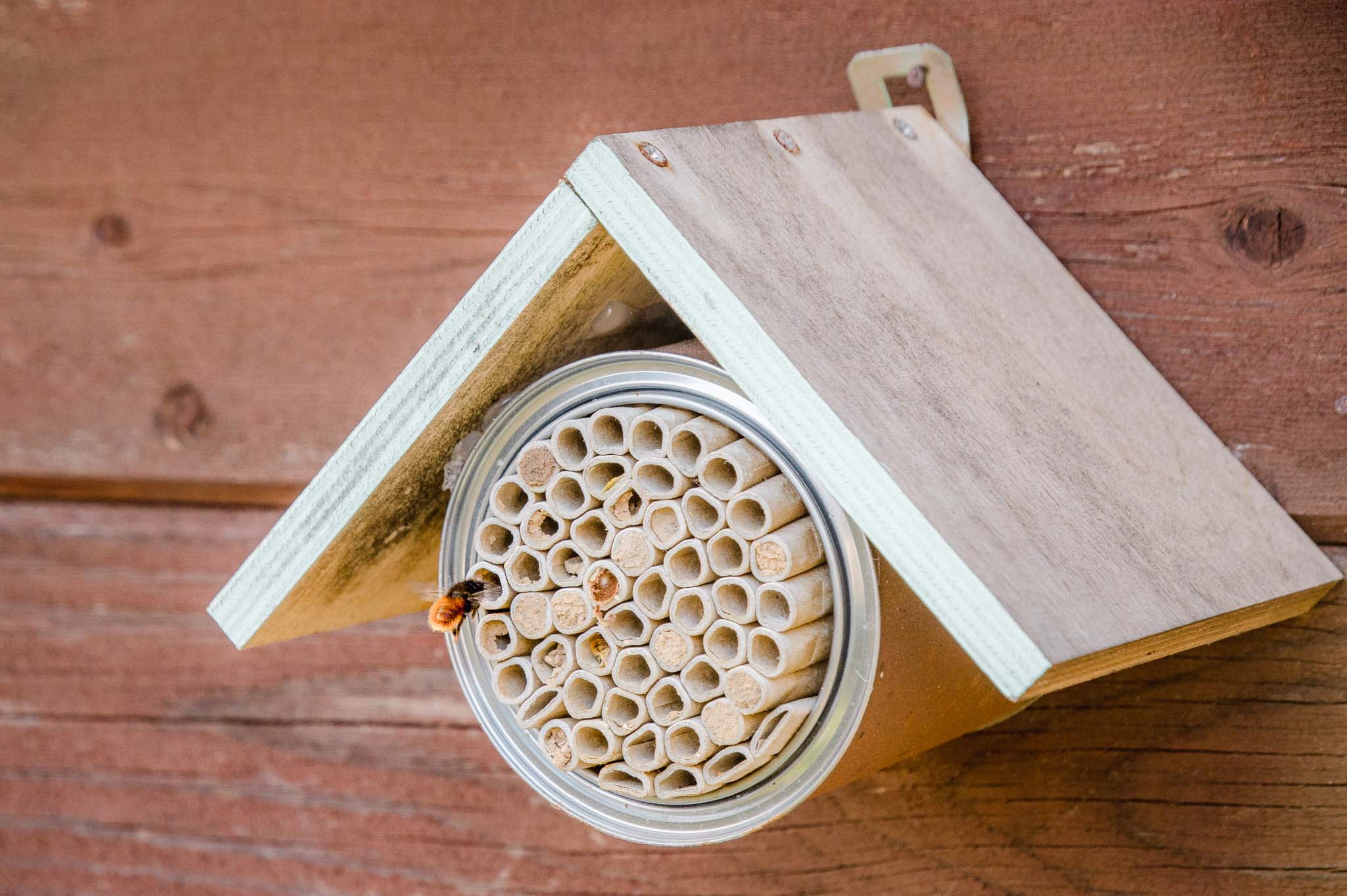 Wildbienen Nisthilfe mit Pappröhrchen