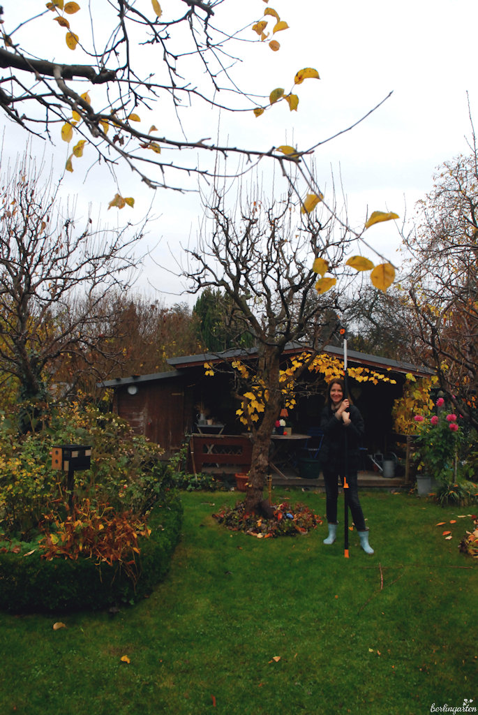 Die UPX86 lässt sich sehr lang ausfahren