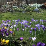 berlingarten im Nachmittagslicht
