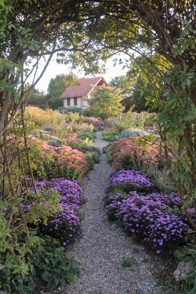 Herbstgarten mit Fetthenne und Astern