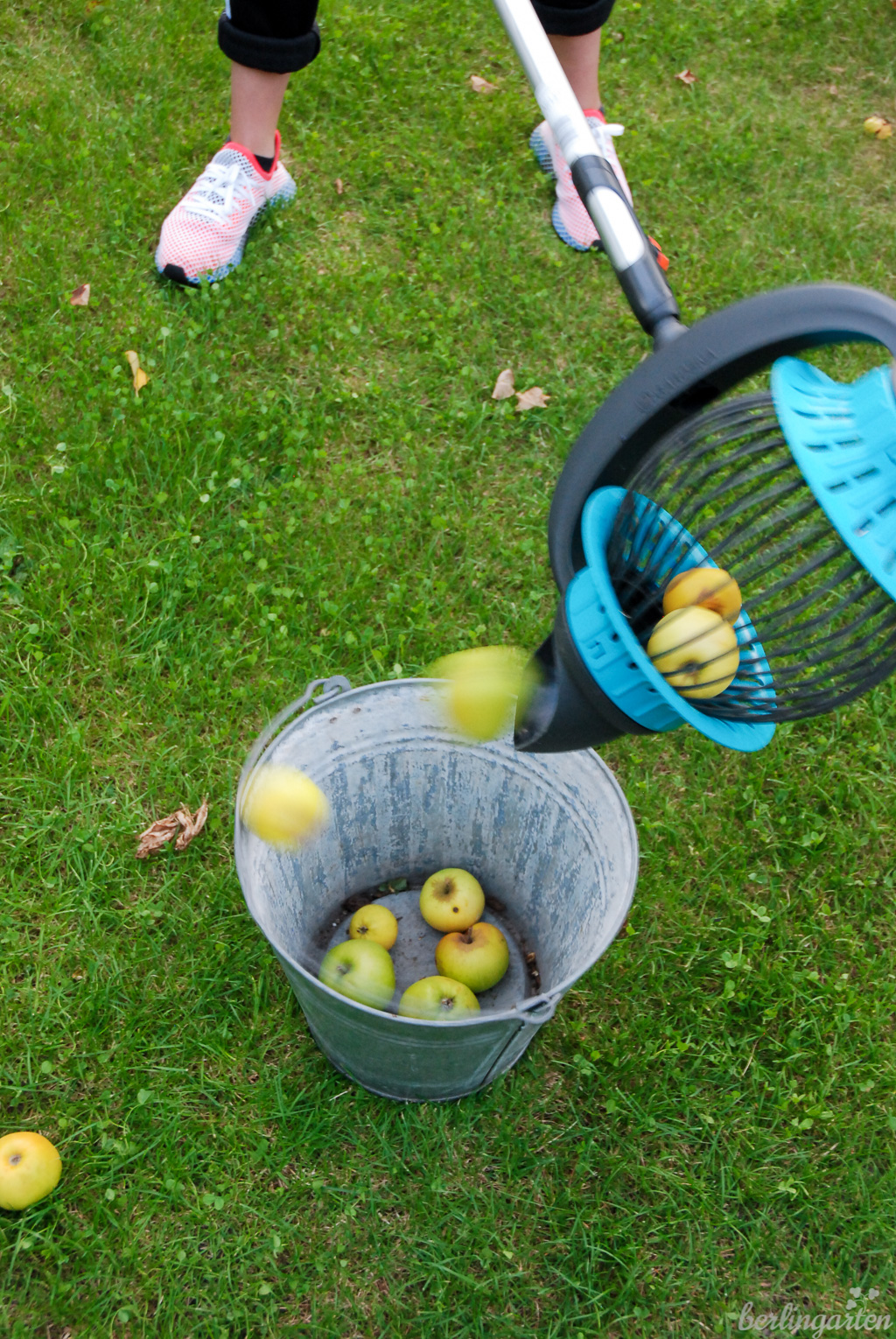 Das Obst lässt sich mit dem GARDENA Rollsammler einfach ausschütten